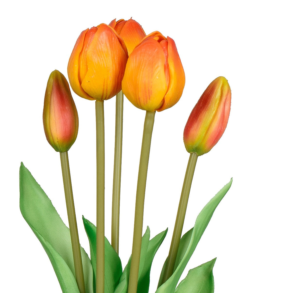 671103_1-geld-orange