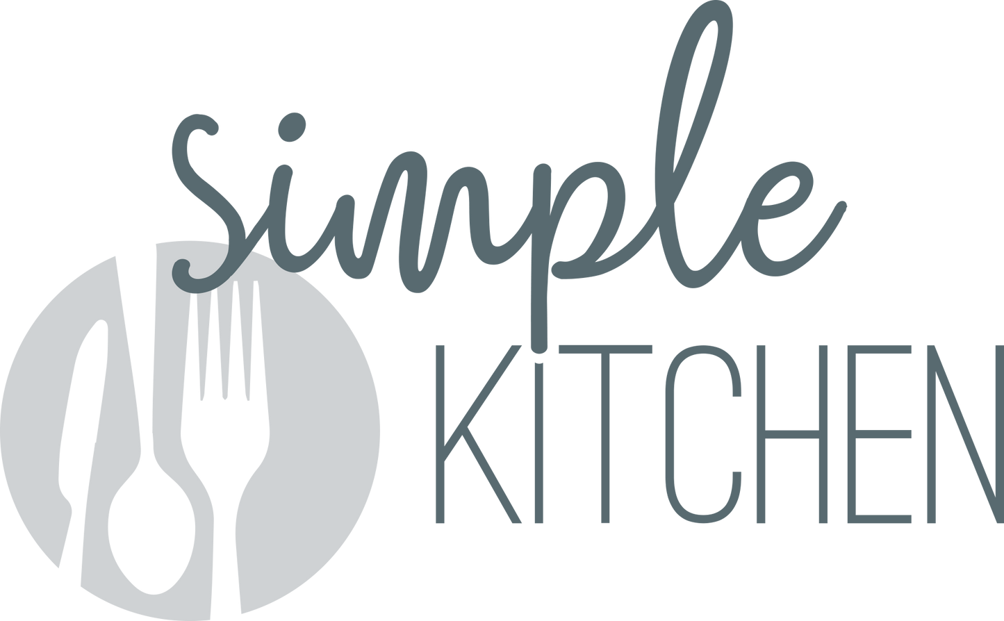 lavida_simple_kitchen_logo