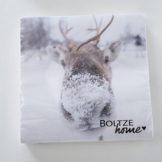 2013725-einzelbild-2