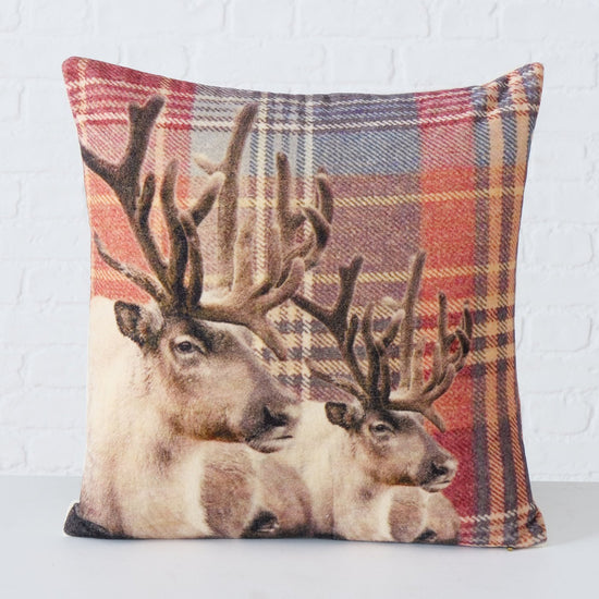 2015582-einzelbild-2