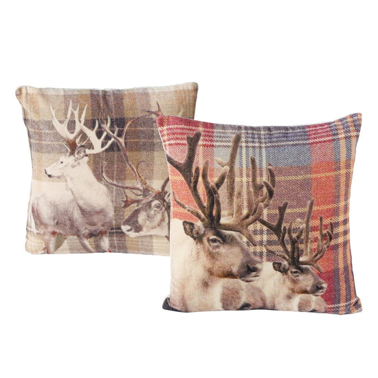 2015582-freisteller-hauptbild