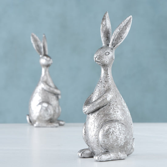 2019007-ambientebild