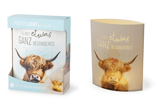 LED-Poesielicht mit Hochlandrind Motiv und Spruch „Du bist etwas ganz Besonderes“ von Geschenk für Dich