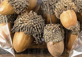 7072100-1 7072100 Deko Eicheln von Boltze Herbstdekoration