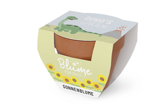 980381 Geschnek für Dich Sonnenblume im Topf, Dinos Garten, Geschenkidee
