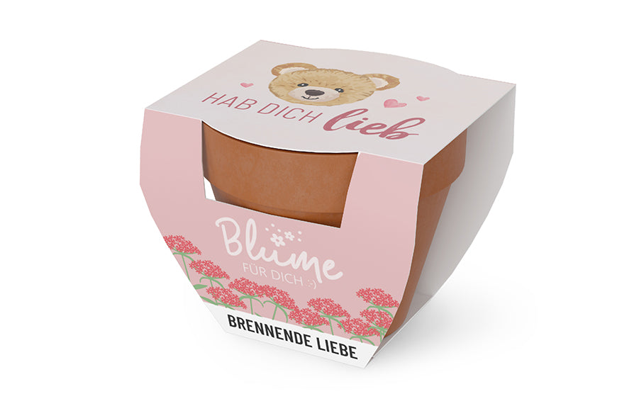 980389 Geschnek für Dich Blumebrennende Liebe im Topf, Teddy Hab Dih lieb, Kleine Geschenkidee