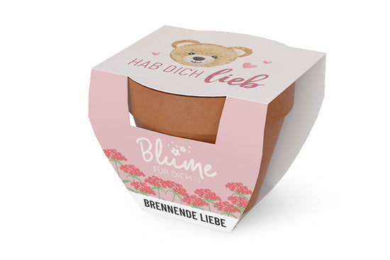 980389 Geschnek für Dich Blumebrennende Liebe im Topf, Teddy Hab Dih lieb, Kleine Geschenkidee