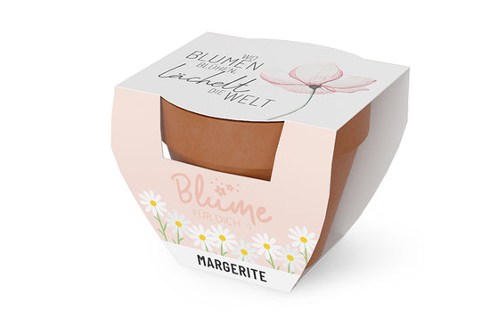980593 Geschnek für Dich Margerite im Topf, mit Aufschrift Wo Blumen blühen, lächelt die Welt, Geschenkidee
