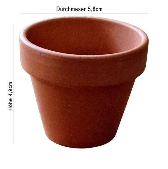 Blume im Topf Schön, dass es Dich gibt ? – Malou Home Design®