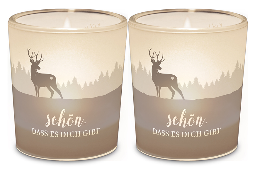 Windlicht Kerzenglas mit Botschaft, Schriftzug "Schön, dass es Dich gibt" Motiv Hirsch, 640831, 4027268277919